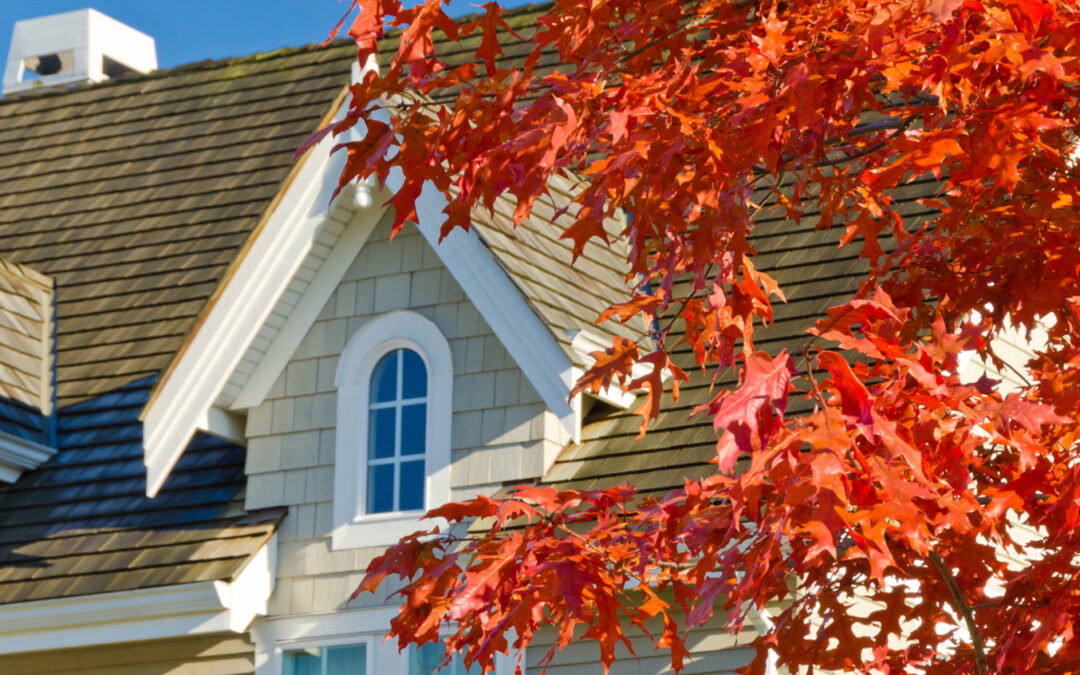 Getting Your Roof Ready for Autumn and Winter: Essential Tips for a Trouble-Free Season